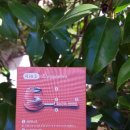 방배천로 160 이미지