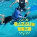 나눔협동조합 | 참스포츠나눔협동조합 대전 서구 정림동 서구 국민 체육센터 생존 수영