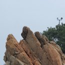거북사 - 목포시 영산로 230 | 거북사