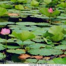 대동민박 이미지