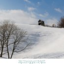 대관령 하루 이미지