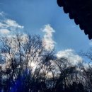 한솔화원 이미지