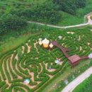 미로파크 이미지