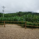 펜션티케하우스 이미지