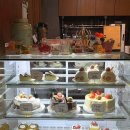 피치오카페 cafe pichio