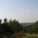 연화정사 Daum카페