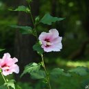 세명서관