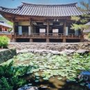 부여송죽마을 | 청양고추의 본고장 영양 탐방기