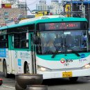 진명축산 네이버블로그