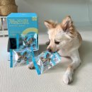 (주)조이플래닛 이미지