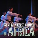 성실 태권도 이미지