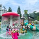 물놀이장 | 무료맞아? 서울 물놀이터 중랑숲캠핑장 물놀이장 후기 주차 꿀팁