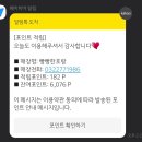 빵빵한호랑이