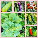 하루라는 작은 여행 - 그녀의 여정 이미지