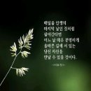 파송 이미지