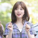 수연 이미지