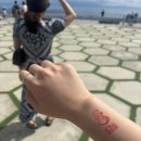 에이스어린이집 | 시티투어 / 탑스힐 / 레아신전 /세부아쿠아리움 , 오션파크 / 제이파크리조트 / 에이스크랩 제이파크비치점