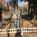 (주)도시와 숲 이미지
