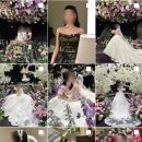 비비앤팜 | 21. 본식 아이폰 스냅 비비스냅 후기