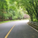 호명호수(제1주차장) 이미지