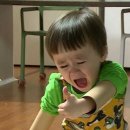 양정전통시장 | [부산/양정]부산양정술집추천/양정로컬맛집_두더지