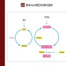 블루션 이미지
