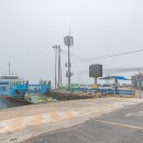 수국반점 이미지