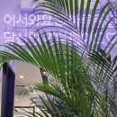 카페051화명