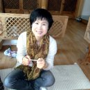 일죽종합동물병원 Daum카페