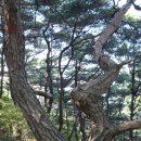 대구 응해산 - 도덕산 산행