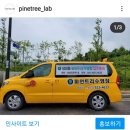 성성파인트리 수영장 이미지