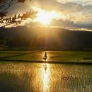 품마을국제결혼 이미지