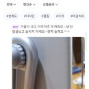 코쿤하우스 | 법 내돈내산 무반전거울 추천 :나혼자산다 리얼미 코쿤거울 vs 우드로하우스 안면비대칭 카메라마사지 체험