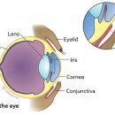 ACE동물병원 이미지
