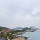 울산 이미지