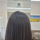 (주)진경 | 가벼운 질감에 반함! 별내로데오 미용실 #진경실장님 테슬컷 시술 과정 및 유지력