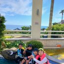 용호체육관 이미지