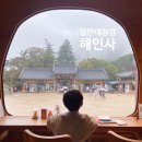 팔만대장경 | 합천 해인사 소리길 여행ㅣ아이들과 팔만대장경 보고 온 역사체험 후기