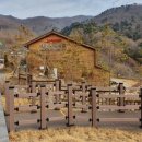 대봉산자연휴양림 이미지