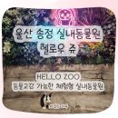 송정타워앞 | 울산 북구 송정 헬로우쥬 실내동물원 후기｜아이랑 동물교감 제대로 한 날