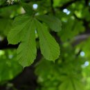 연세봄날에산부인과의원 이미지