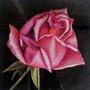 보태니컬아트 이미지