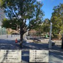 장미약사스토어 | 일본 오사카 4박 5일 겨울 여행 - 2일차