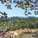 피노키오 이미지