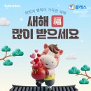 셀파우등생학원 이미지