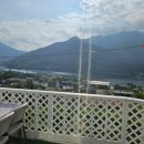 멍멍s