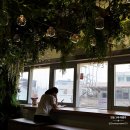 군산박대사업단 | 군산 핫플레이스 전통시장투어 신영시장 공설시장 청년몰 물랑루즈
