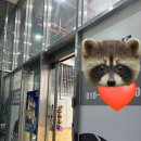 (주)아미랜드 | [리뷰] 문정역 테라타워 아미스포츠 배드민턴 강습, 퇴근 후 갓생 살기 실천 후기