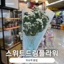 스위트드림플라워 이미지