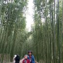 청도 울산 봄 여행 첫째 날(3)-고래마을, 십리대숲 이미지